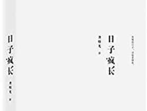 《日子疯长》中的历史、命运与灵魂