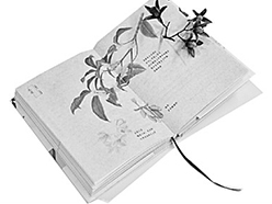 《身边的二十四节气》：四时合序 万物有灵